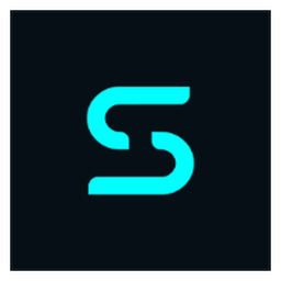 Skyfleetdash logo
